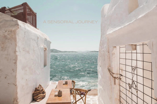 Unleash the Captivating Aromas of Summer: Swiss Arabian's Guide to the Best Scents of the Season